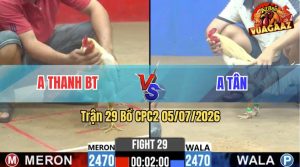 Trận 29 CPC2 05/07/2026 – Gà Anh Thanh Lì Đòn Gồng Thắng Ngược