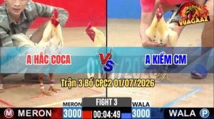 Trận 3 CPC2 01/07/2026 – Gà Anh Kiểm Cà Mau Nuốt Ói Hạ Anh Hắc Coca