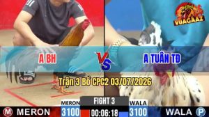 Trận 3 CPC2 03/07/2026 – Gà Điều Anh BH Đá Canh Chặn Quá Khôn Khéo