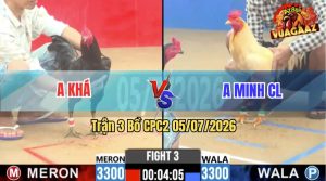 Trận 3 CPC2 05/07/2026 – Gà Que Canh Chặn Đá Bướm Lọt 1 Cây Hiểm
