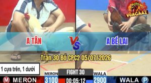 Trận 30 CPC2 05/07/2026 – Anh Bé Lai Làm Thịt Anh Tân Dễ Dàng