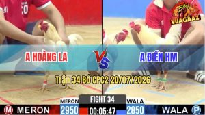 Trận 34 CPC2 20/07/2026 – Gà Úa Anh Điền Đá Cựa Đâm Như Chĩa