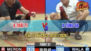 Trận 37 CPC2 20/07/2026 – Gà Anh Tùng GĐ Đá Tải Cựa Quá Khủng