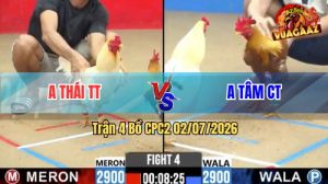 Trận 4 CPC2 02/07/2026 – Gà Khét Anh Tâm Đá Đòn Cựa Quá Khôn Khéo
