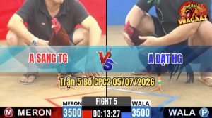 Trận 5 CPC2 05/07/2026 – Gà Anh Sang TG Đá Cựa Đâm Như Đời Tới