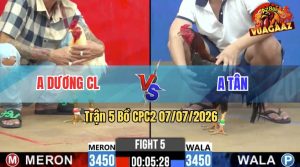 Trận 5 CPC2 07/07/2026 – Gà Bướm Anh Dương Dở Chân Là Dính Cựa