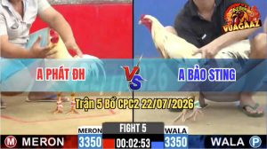 Trận 5 CPC2 22/07/2026 – Anh Phát Hạ Anh Bảo Sting Trong 1 Nốt Nhạc