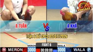 Trận 6 CPC2 02/07/2026 – Gà Que Anh Tuân Đá Đòn Cựa Như Búa Bổ