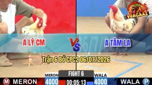 Trận 6 CPC2 06/07/2026 – Gà Anh Lý Cà Mau Đá Khôn Như Người Ta