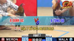 Trận 7 CPC2 06/07/2026 – Gà Điều Nhấp Mấy Chân Gà Que Sụm Tỳ