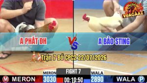Trận 7 CPC2 22/07/2026 – Idol Bảo Sting Thất Thủ Trước Anh Phát ĐH
