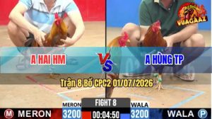 Trận 8 CPC2 01/07/2026 – Gà Anh Hùng TP Đá Đòn Cựa Như Búa Bổ