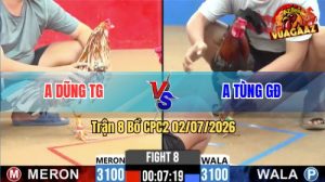 Trận 8 CPC2 02/07/2026 – Gà Anh Dũng Đá Đúng 3 Chân Có Kết Quả