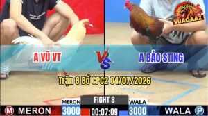 Trận 8 CPC2 04/07/2026 – Anh Vũ Hạ Anh Bảo Sting Trong Vòng 1 Nốt Nhạc
