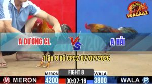 Trận 8 CPC2 07/07/2026 – Gà Anh Dương Quá Vừa Tải Cựa Vừa Lì Đòn