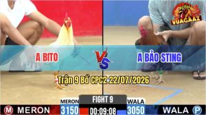 Trận 9 CPC2 22/07/2026 – Anh Bi To Đối Đầu Với Anh Bảo Sting