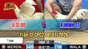 Xem Trận 12 CPC2 Ngày 8/7/2026 tại Vua Gà AZ