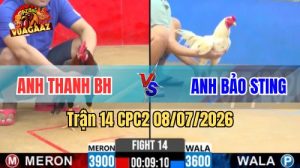 Xem Trận 14 CPC2 Ngày 8/7/2026 tại Vua Gà AZ