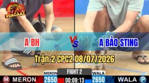 Xem Trận 2 CPC2 Ngày 8/7/2026 tại Vua Gà AZ