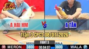 Xem Trận 3 CPC2 Ngày 8/7/2026 tại Vua Gà AZ