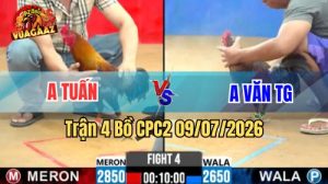 Xem Trận 4 CPC2 Ngày 9/7/2026 tại Vua Gà AZ