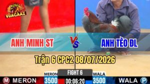 Xem Trận 6 CPC2 Ngày 8/7/2026 tại Vua Gà AZ