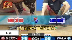 Xem Trận 8 CPC2 Ngày 8/7/2026 tại Vua Gà AZ
