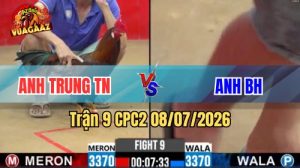 Xem Trận 9 CPC2 Ngày 8/7/2026 tại Vua Gà AZ