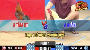 Trận 1 CPC2 28/08/2026 – Gà Điều Anh Tâm Mở Bát Quá Mát Tay