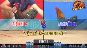 Trận 1 CPC2 29/08/2026 – Anh Bình Lụm Anh Phước Trong 3 Chân Đầu