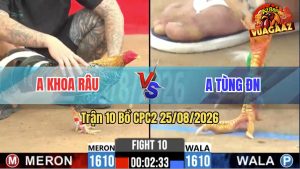 Trận 10 CPC2 25/08/2026 – Gà Cú Anh Khoa Râu Có Chân Phản Phút 90