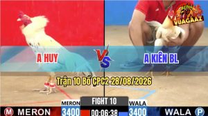 Trận 10 CPC2 28/08/2026 – Gà Anh Kiên BL Đá Cựa Đâm Như Giang Hồ