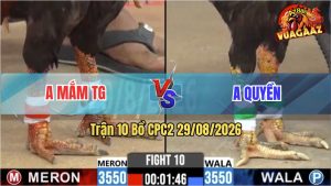 Trận 10 CPC2 29/08/2026 – Anh Mắm TG Trả Lại 1 Cây Cựa Quá Hiểm