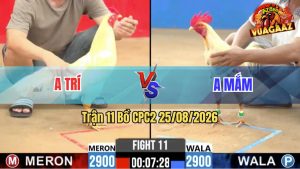 Trận 11 CPC2 25/08/2026 – Anh Trí Không Cho Anh Mắm Cơ Hội Nào