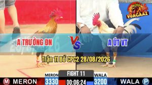 Trận 11 CPC2 28/08/2026 – Anh Út Tung Gà Bướm Ra Đá Đâm Như Chỉa