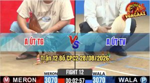 Trận 12 CPC2 28/08/2026 – Anh Út TG Dí Bạc Anh Út TV Và Cái Kết