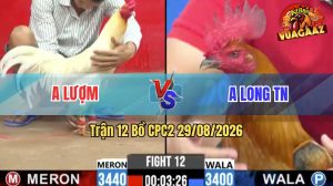 Trận 12 CPC2 29/08/2026 – Gà Khét Anh Long Quá Nhanh Quá Nguy Hiểm