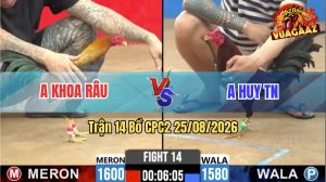 Trận 14 CPC2 25/08/2026 – Gà Anh Huy TN Có Lối Đá Thủ Quá Hay