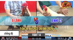 Trận 14 CPC2 28/08/2026 – Gà Úa Anh Nhí Dáng Bình Thường Mà Đâm Ác