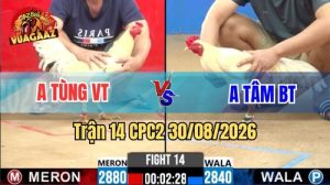 Trận 14 CPC2 Ngày 30/08/2026 Trên Vua Gà AZ