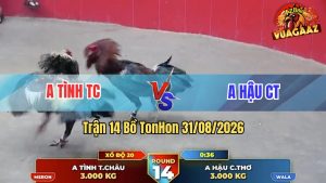 Trận 14 Tonhon 31/08/2026 – Anh Tình Tung Hàng Hiệu Vào Đá Như Đạn