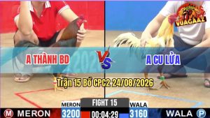 Trận 15 CPC2 24/08/2026 – Anh Thành Canh Chặn Hay, Xanh Vào Không Nổi