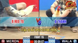 Trận 15 CPC2 27/08/2026 – Gà Bướm Anh Heo Đá Toàn Đâm Chỗ Hiểm
