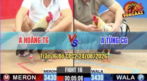 Trận 16 CPC2 24/08/2026 – Gà Que Anh Hoàng Đá Vừa Lì Vừa Đâm