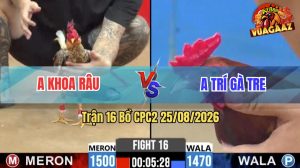 Trận 16 CPC2 25/08/2026 – Anh Khoa Râu Có Pha Lật Ngược Thế Cờ