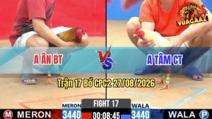 Trận 17 CPC2 27/08/2026 – Gà Xám Anh Ân Đá Đâm Toàn Cựa Tịch