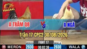 Trận 17 CPC2 Ngày 30/08/2026 Trên Vua Gà AZ