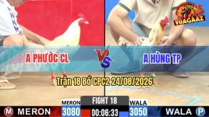 Trận 18 CPC2 24/08/2026 – Gà Úa Anh Phước Đá Như Phim Hồng Kông
