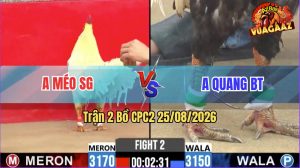 Trận 2 CPC2 25/08/2026 – Gà Chuối Anh Quang Bươi Chà Đúng 3 Chân Cựa