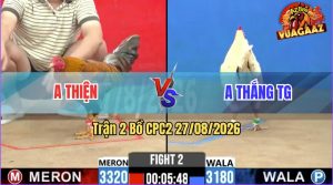 Trận 2 CPC2 27/08/2026 – Gà Điều Anh Thiện Đá Đòn Cựa Như Cây Đập